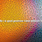 Réponse rapide : à quoi pouvez-vous utiliser les pissenlits ?